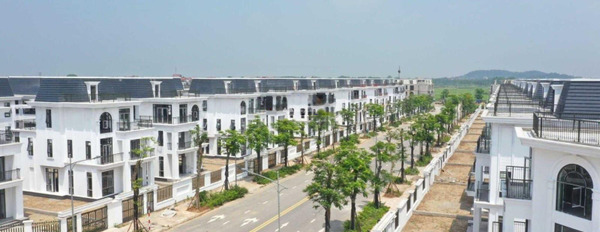 Bán nhà vườn trục chính 24m dự án HUD Mê Linh Central-03