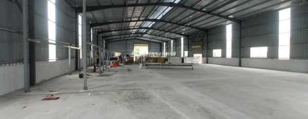 Cho thuê kho bãi diện tích 4500m2 vị trí mặt tiền nằm ở Đường 10, Hải Phòng-03