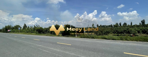 Vị trí mặt tiền ngay tại Tỉnh Lộ 852B, Bình Thạnh Trung bán đất giá bán 79.3 tỷ diện tích tổng 6100 m2-03