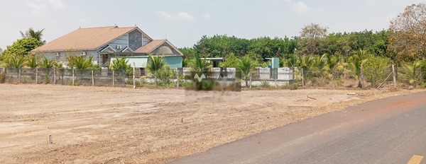 Bán đất 348 triệu Lộc Hòa, Bình Phước diện tích gồm 175m2-02
