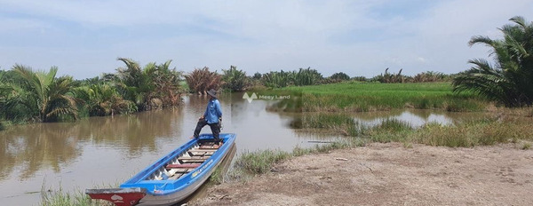 Ở Nguyễn Thị Minh Khai, Phú Đông bán đất 1.1 tỷ diện tích vừa phải 1000m2-02