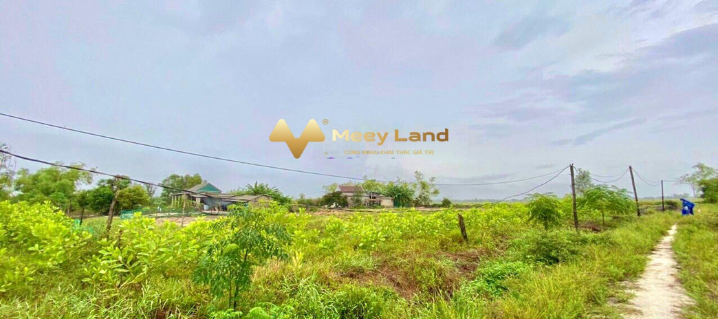 Quảng Lợi, Quảng Điền 520 triệu bán đất, hướng Đông Bắc có tổng diện tích 140 m2