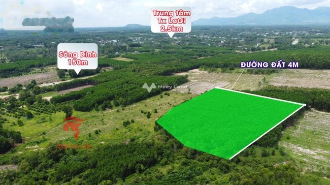 Tân Bình, La Gi 1.1 tỷ bán đất, hướng Tây Bắc diện tích chung 1000m2-01
