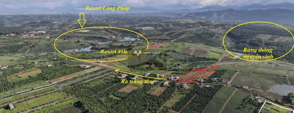 Giá bán siêu khủng chỉ 399 triệu bán đất diện tích sàn là 100m2 vị trí thuận lợi tại Lý Thái Tổ, Lộc Tân-02