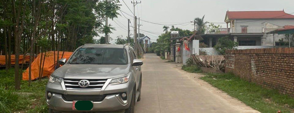 Bán đất chính chủ giá tốt trung tâm Minh Phú, Sóc Sơn-02