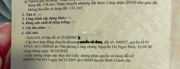 Từ 4 tỷ bán đất diện tích khoảng là 310m2 vị trí đẹp ngay tại Bình Chánh, Bình Chánh-02