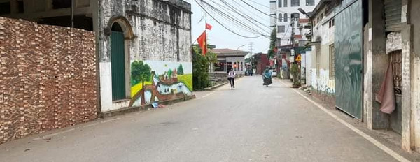 Bán nhà riêng huyện Thạch Thất, thành phố Hà Nội giá 2 tỷ-03