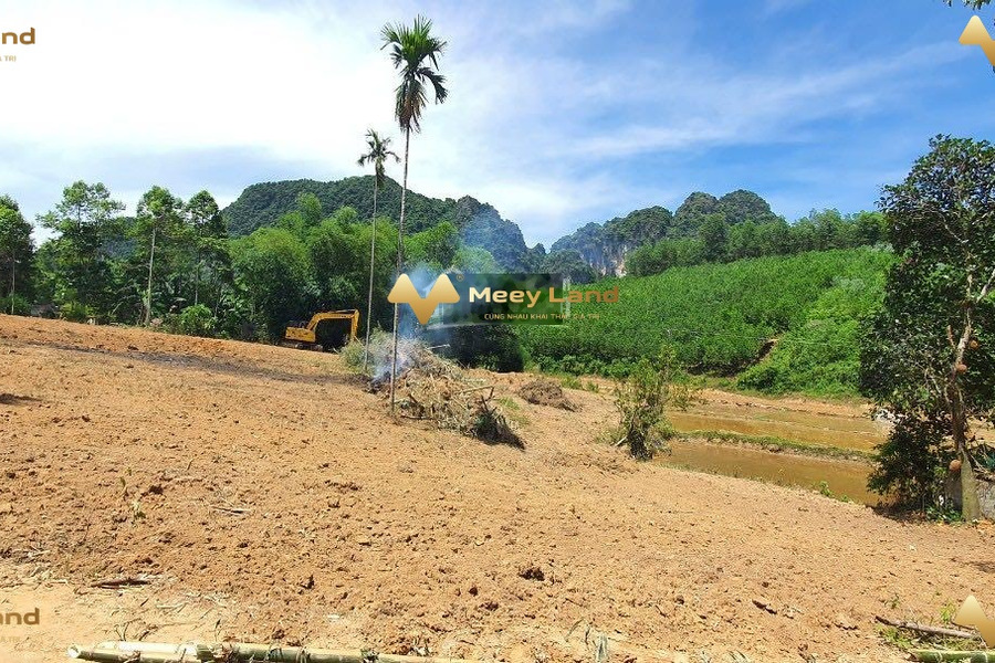 Bán đất diện tích gồm 3600 m2 vị trí tại Nuông Dăm, Kim Bôi-01