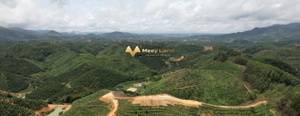 Nằm tại Đường 20, Đại Lào bán đất 12 tỷ Diện tích nền 24000 m2-02