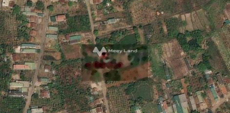 Bán đất 630 triệu Đắk R'La, Đắk Mil có diện tích chính 2159m2-03