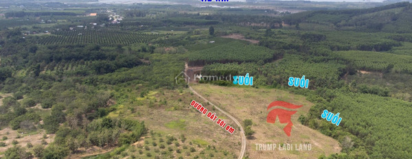 Từ 550 triệu bán đất tổng diện tích 1000m2 vị trí đẹp ngay tại Định Quán, Đồng Nai-03