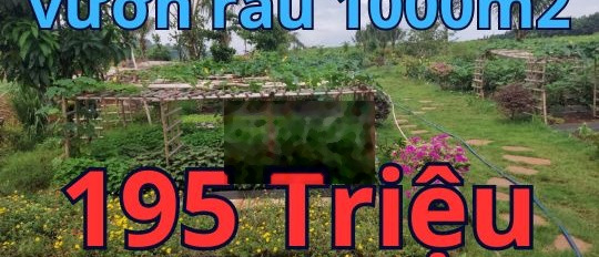 Bán đất rẻ tặng thêm vườn rau -02