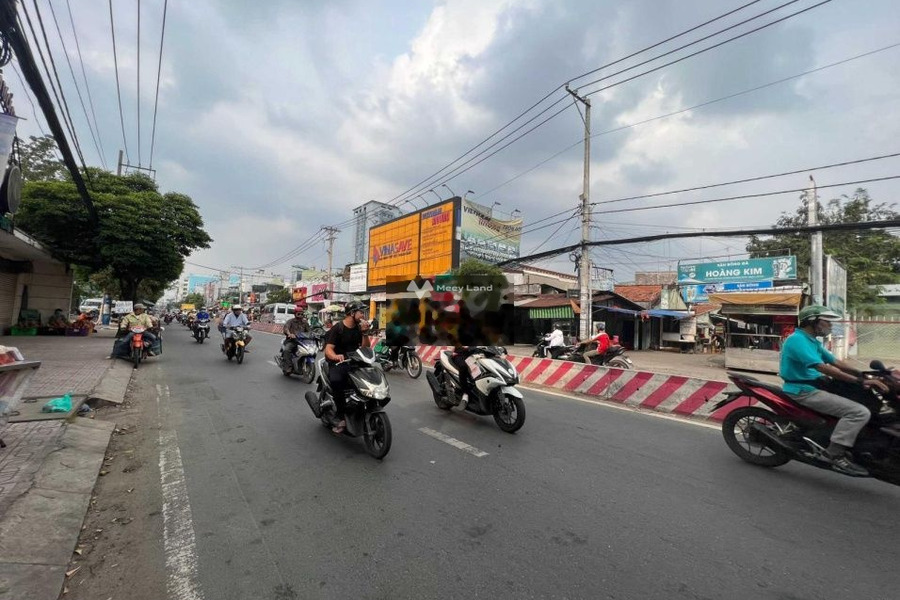 Tân Thuận Đông, Hồ Chí Minh cho thuê đất giá thuê cực kì tốt chỉ 450 triệu/tháng có một diện tích là 6500m2-01