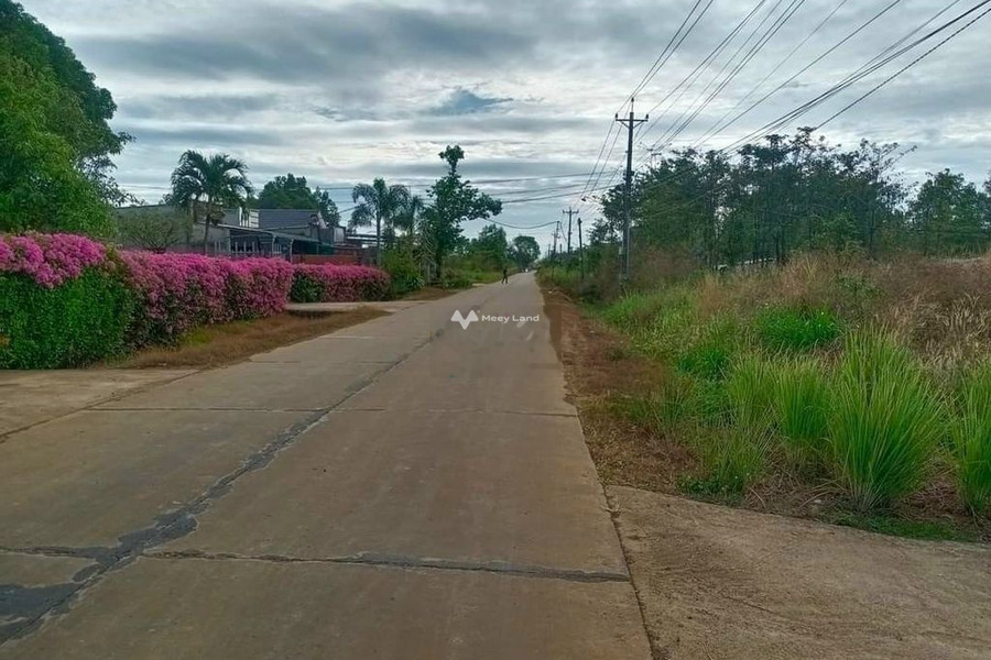 Nằm tại Nguyễn Thị Rành, An Nhơn Tây bán đất 695 triệu có diện tích chung là 363m2-01