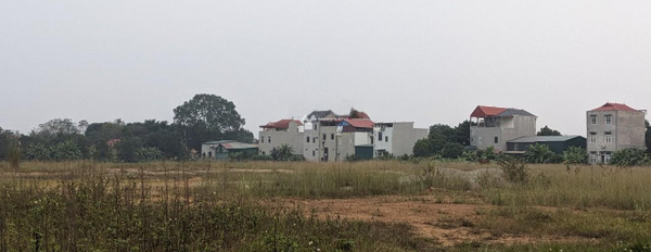 Bán đất tại Đồng Ích, Vĩnh Phúc. Diện tích 100m2-02