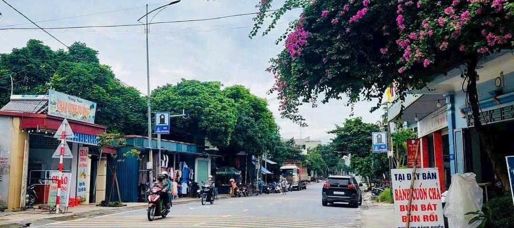 Chính chủ cần thanh khoản lô đất mặt phố Trần Hưng Đạo, Phủ Lý, Hà Nam