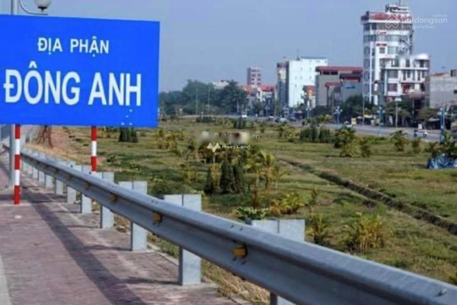 Bán đất diện tích 100m2 tại Nam Hồng, Đông Anh-01