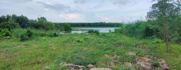Bán đất giáp hồ Sông Ray 80m mặt tiền nhựa - giá 5,2 tỷ -02