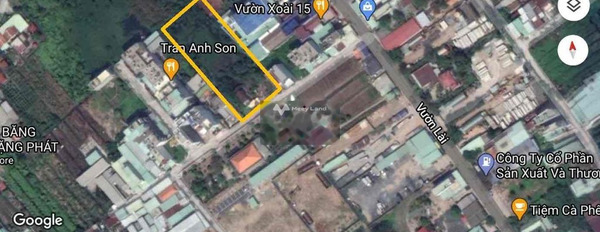 Vị trí thuận lợi gần An Phú Đông, Hồ Chí Minh cho thuê đất thuê ngay với giá 36 triệu/tháng tổng diện tích là 2000m2-02