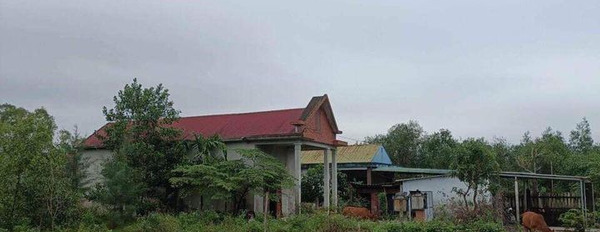 Cần bán đất thị xã Hương Thủy, Thừa Thiên Huế giá 1,2 tỷ-02