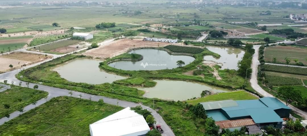 Vị trí tiện lợi ngay tại Tiền Phong, Mê Linh bán đất giá mua ngay 5.79 tỷ diện tích tổng là 300m2
