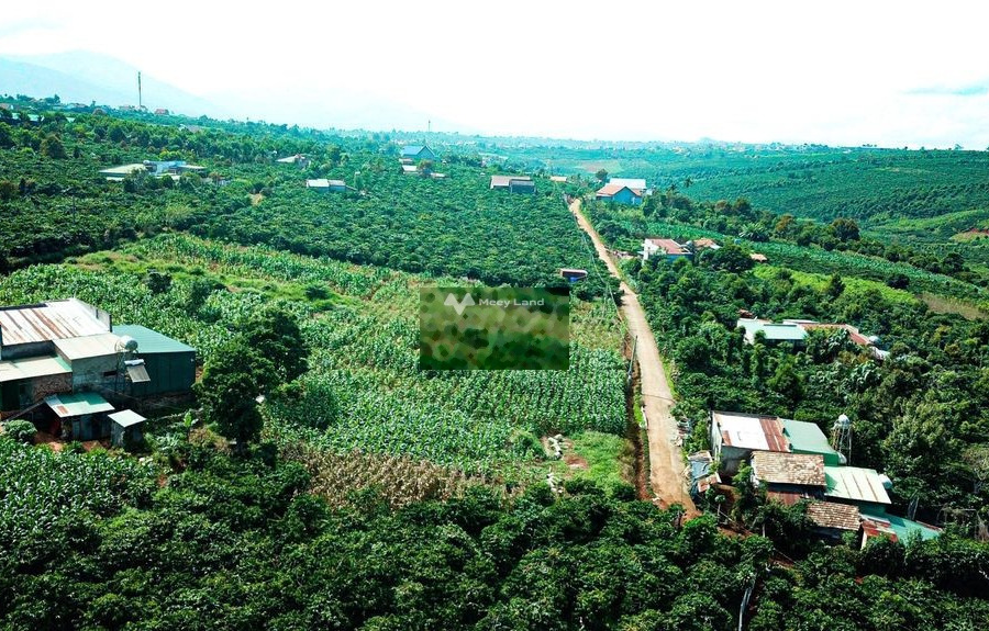 Ở Quốc Lộ 20, Di Linh bán đất 395 triệu với diện tích rộng 165m2-01