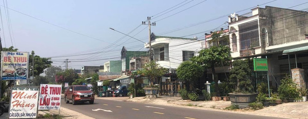 Cần bán đất huyện Tuy Phước tỉnh Bình Định giá 2 tỷ-03