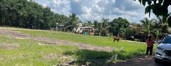 Ở Thanh An, Bình Phước bán đất 350 triệu, hướng Đông Nam có diện tích trung bình 210m2-03