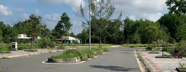 Ngân hàng bán gấp nền đất tái định cư Tân Phước giá 1 tỷ-02