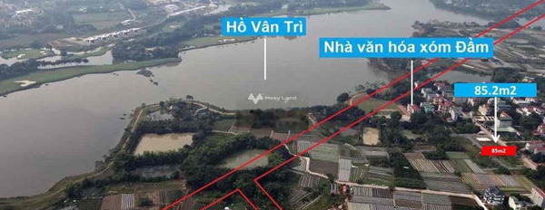 Tọa lạc ngay ở Vân Nội, Hà Nội bán đất, giá siêu tốt chỉ 4.65 tỷ, hướng Đông Bắc diện tích chuẩn 97m2-02