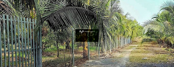 Bán thửa đất vườn 40m×50m Vườn Thơm, Bình Lợi-03