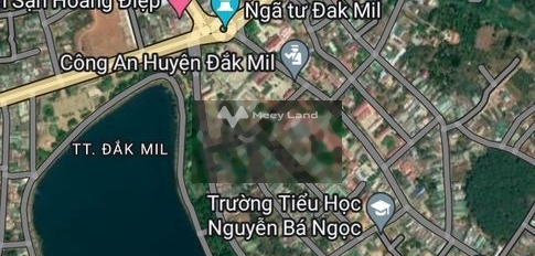 Bán nhà bán ngay với giá hấp dẫn chỉ 15 tỷ có diện tích gồm 220m2 vị trí thích hợp Nguyễn Tất Thành, Đắk Mil-02