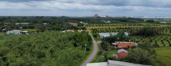 Bán đất mặt tiền Nông Trường, Đôn Thuận diện tích 1000m2-03