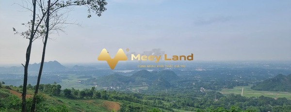 Vị trí thuận lợi ở Đường Quốc Lộ 6, Huyện Lương Sơn bán đất, giá bán rẻ chỉ 31.5 tỷ có dt thực là 24000 m2-03