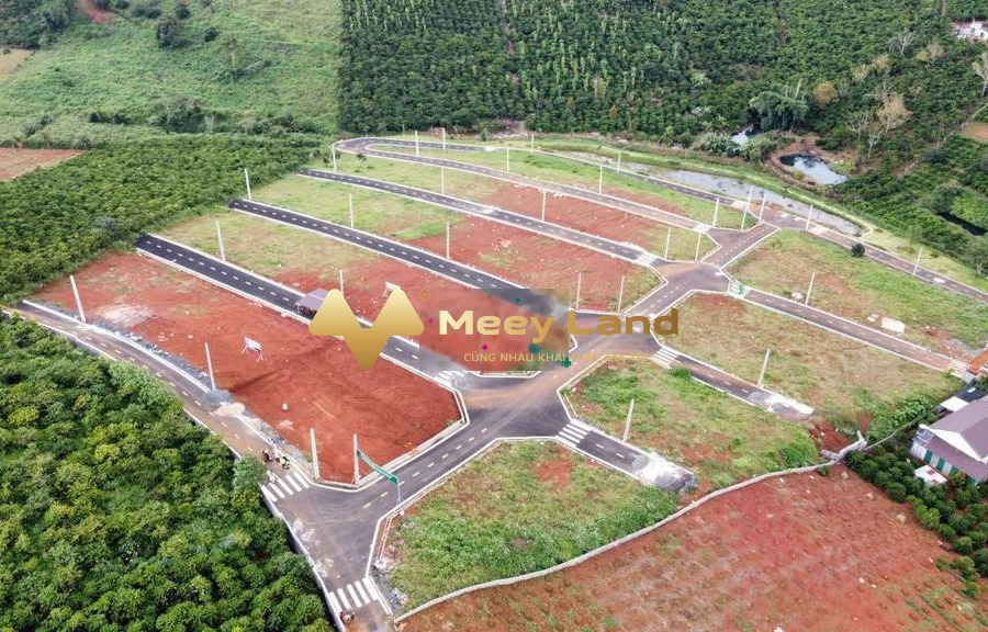 Khoảng 1.42 tỷ bán đất có dt chính 175 m2 vị trí mặt tiền tọa lạc ngay Đường Tôn Thất Thuyết, Tỉnh Lâm Đồng-01