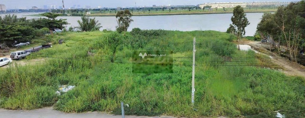Thuê ngay với giá gốc 20 triệu/tháng cho thuê đất với diện tích là 2650m2 tọa lạc gần Vườn Lài, An Phú Đông-03