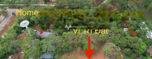 Bán đất nền dự án tại Xã Đắk Long, Kon Plông, Kon Tum diện tích 1000m2 giá 12 Tỷ -02