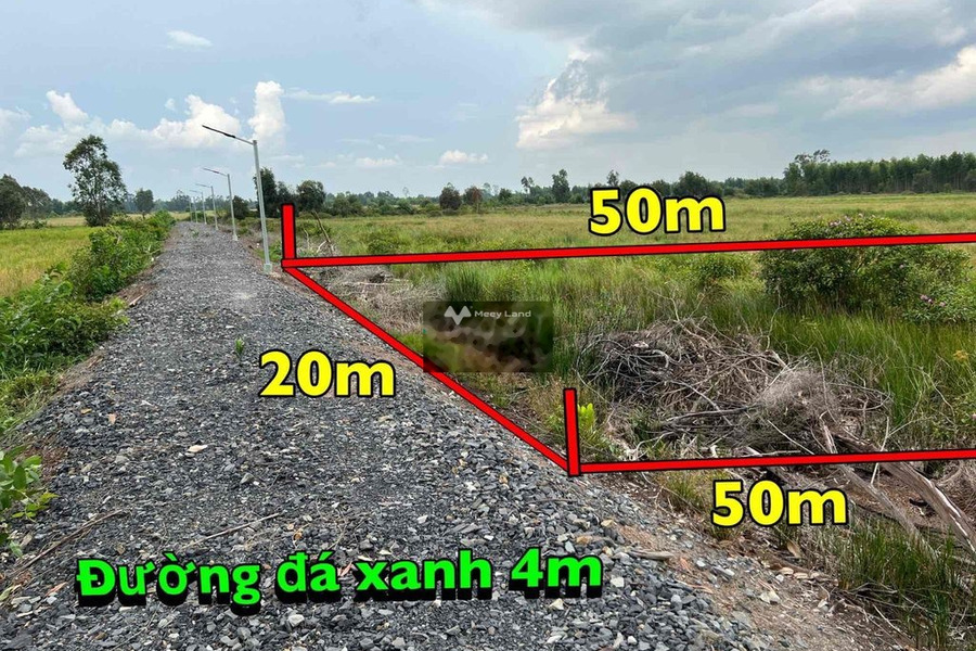 Bán đất 450 triệu Mỹ Thạnh Đông, Long An diện tích đúng với trên ảnh 1000m2-01