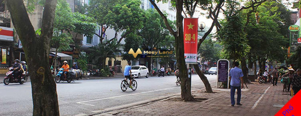 Bán nhà mặt phố Trần Hưng Đạo 650m2, 1 sổ duy nhất, mặt tiền 25m-03