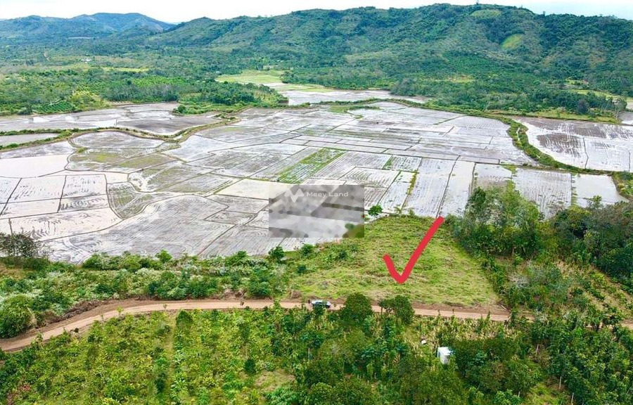 Khoảng 175 triệu bán đất với diện tích thực 1000m2 vị trí đặt tọa lạc ở Ea Hu, Đắk Lắk-01