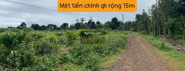 Nằm tại Ea Siên, Đắk Lắk bán đất 239 triệu, hướng Đông diện tích trong khoảng 459m2-03