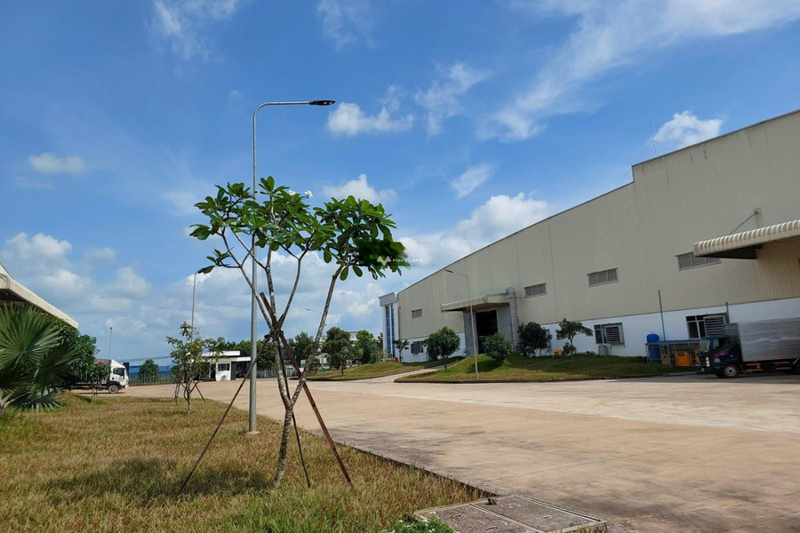Cho thuê xưởng KCN Long Khánh 8000 m2 chỉ 527 triệu/tháng -01