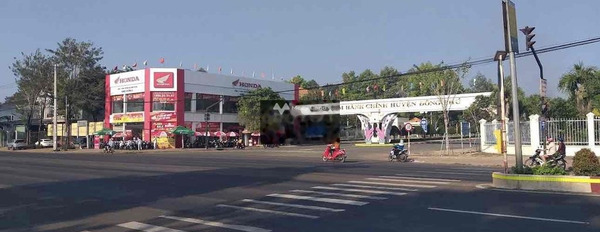 Tân Phú, Bình Phước bán đất giá bán cực êm chỉ 780 triệu có diện tích sàn 200m2-02