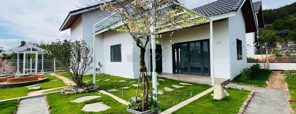 Villa nghỉ dưỡng ven Đà Lạt 500m2,250m thổ cư rừng thông bao quanh -03