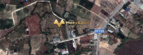 Bán 500m2 đất tại Lâm Hà, Lâm Đồng, hướng Đông Nam, giá 479 triệu-02