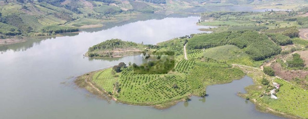 Đak Smar, Huyện KBang 100 triệu bán đất có diện tích quy ước 1050m2-03