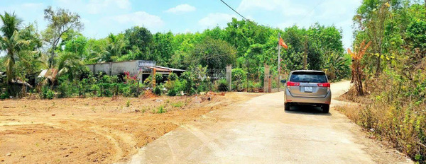 Kẹt tiền bán rẻ miếng đất vườn ở Bình Phước sổ hồng sẵn -03