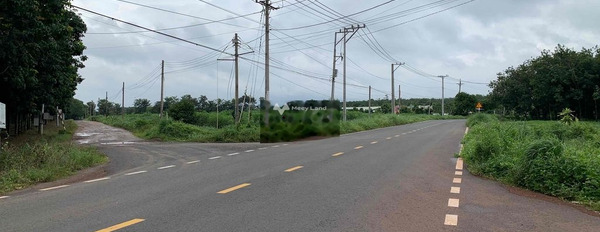 Minh Lập, Chơn Thành bán đất giá đề cử từ 250 triệu có diện tích chính 490m2-03