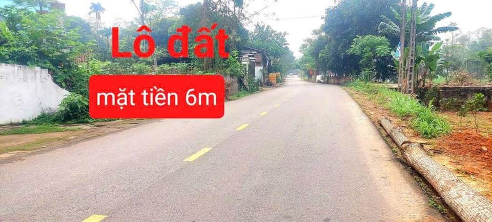 Bán đất huyện Sông Lô tỉnh Vĩnh Phúc giá 800.0 triệu-2