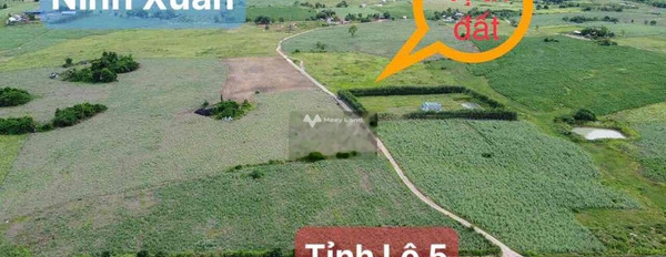 Khoảng từ 1.03 tỷ bán đất Diện tích đất 2943m2 vị trí thuận lợi tọa lạc trên Ninh Xuân, Khánh Hòa, hướng Đông Nam-03